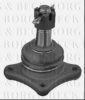BORG & BECK BBJ5533 Ball Joint